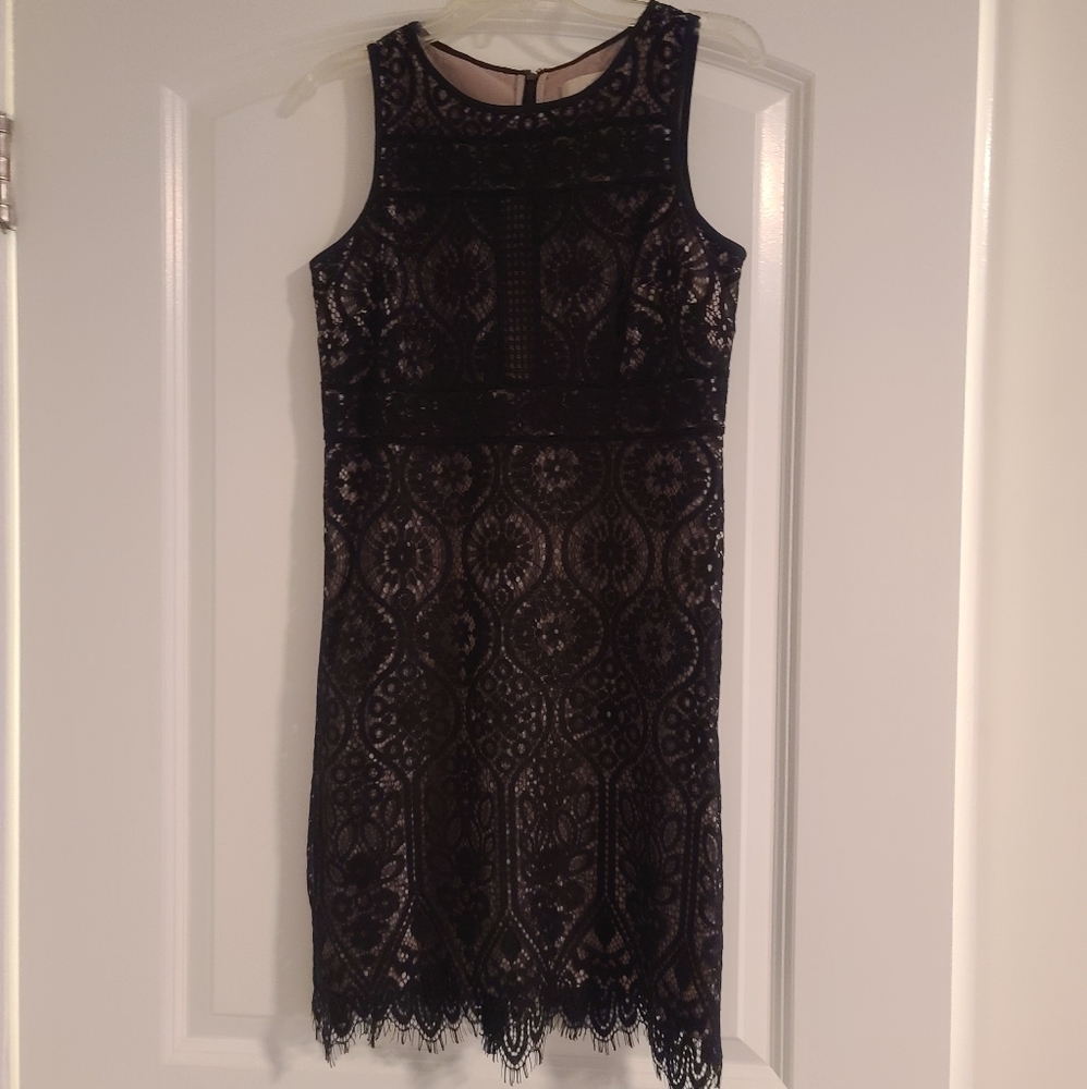 Ann Taylor Lace Dress